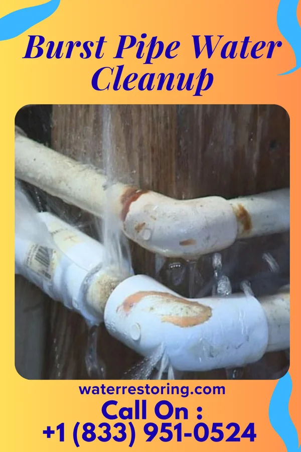 Burst Pipe Water Cleanup in Bronte, TX