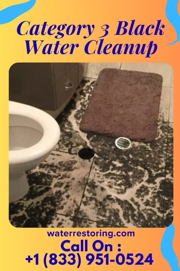Category 3 Black Water Cleanup in Bronte, TX