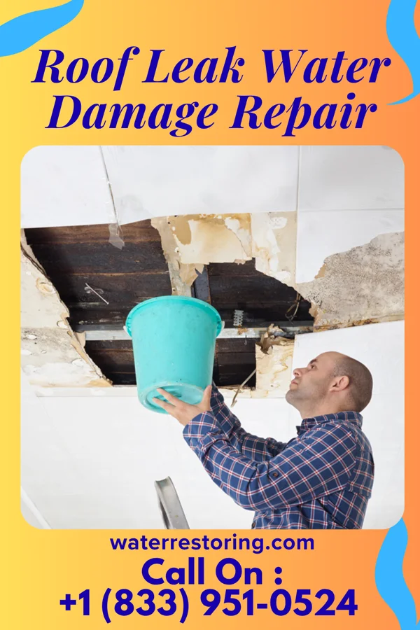 Roof Leak Water Damage Repair in Bronte, TX